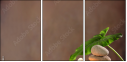 44772824