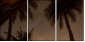 4823952