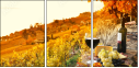 50713543