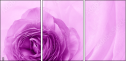52109021