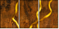 5382882