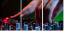 54778008