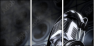 55593987