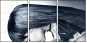 55810226
