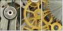 56949725