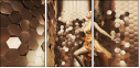 62549732