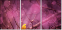 64114474