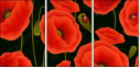 64821989