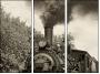 11284076
