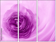 52109021