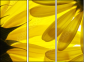 6606588