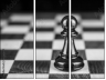 70258713