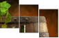 13276134