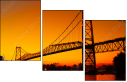 293004009