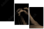 33360952