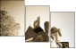 34463140