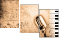 36435334