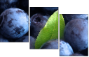 4030305