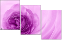 52109021