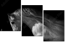55501476