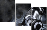 55593987