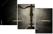 61356918