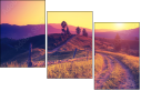 67236047