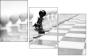 67908547