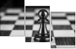 70258713