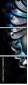 10303831