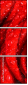 112923652
