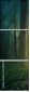 152144229