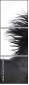17865105