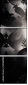 25068986