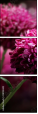 28158442