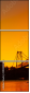 293004009