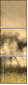 29517691