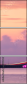 299813537