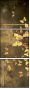 30149224
