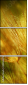 30556275