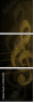30659395