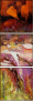 31221288