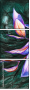 31428274