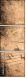 36435334