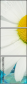 38339114