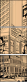 40780813