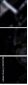 43413948