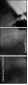 47683741