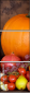 4889858