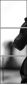 49013321